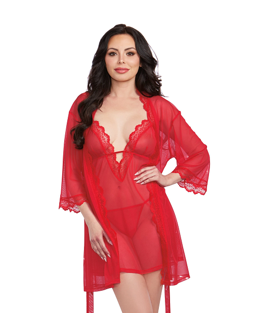 Mesh Chemise & Robe Set with Matching G-String - X-Large