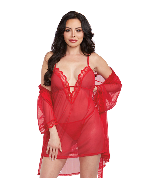 Mesh Chemise & Robe Set with Matching G-String - X-Large